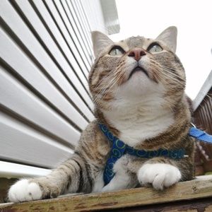 Meet your Posher, Taylor